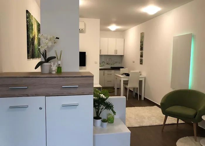 Apartamento Luxury Central Studio Under The Castle Liubliana